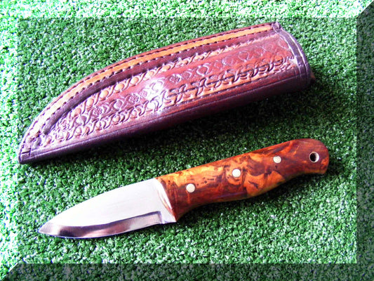 Beaver in swirly Thuya Burl